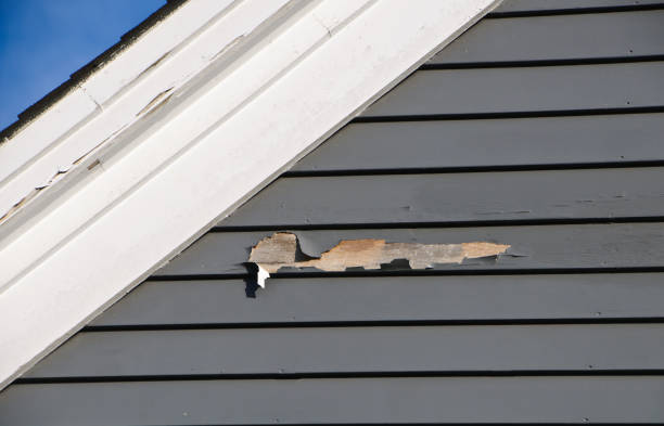 Best Demolition Debris Removal  in Kapaau, HI